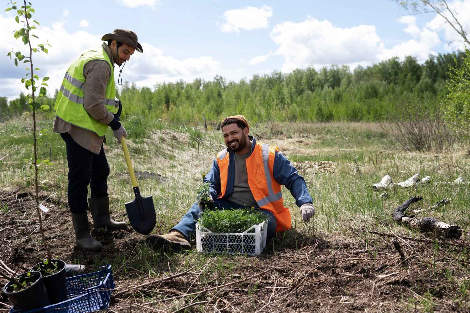 Trusted East Jordan, MI Tree Service Experts